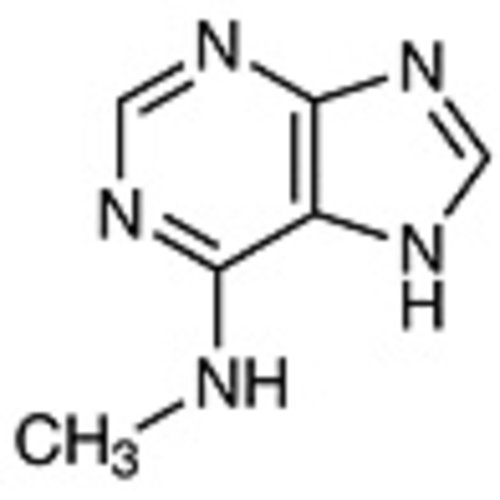 N-Methyl-7H-purin-6-amine >98.0%(HPLC)(T) 1g