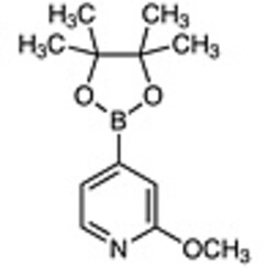 2-Methoxy-4-(4,4,5,5-tetramethyl-1,3,2-dioxaborolan-2-yl)pyridine >98.0%(GC)(T) 1g