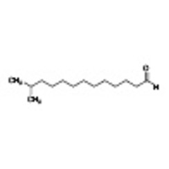 12-Methyltridecanal >95.0%(GC) 1g