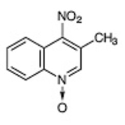 3-Methyl-4-nitroquinoline 1-Oxide >98.0%(T)(HPLC) 1g