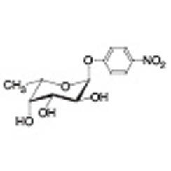 4-Nitrophenyl alpha-L-Fucopyranoside >98.0%(HPLC) 100mg
