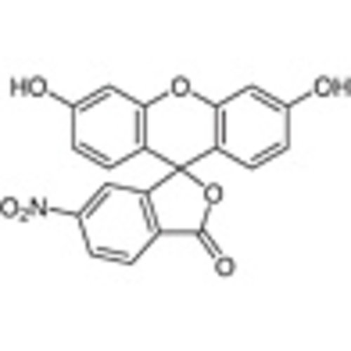 6-Nitrofluorescein (isomer II) >98.0%(T)(HPLC) 1g