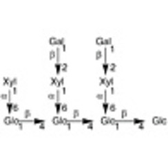 Nonasaccharide Glc4Xyl3Gal2 >75.0%(HPLC) 100mg
