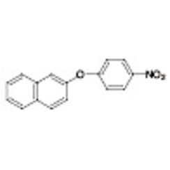 2-(4-Nitrophenoxy)naphthalene >98.0%(GC) 1g
