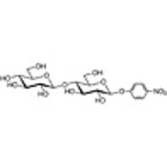4-Nitrophenyl beta-D-Cellobioside >98.0%(HPLC) 100mg