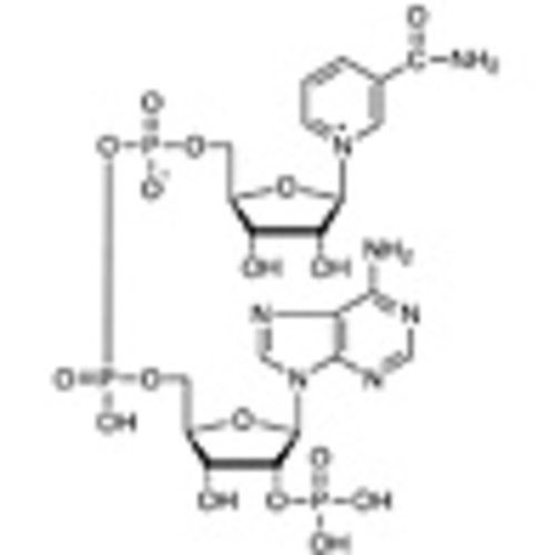 beta-Nicotinamide Adenine Dinucleotide Phosphate [for Biochemical Research] >83.0%(HPLC) 100mg