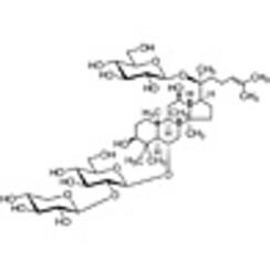 Notoginsenoside R1 >98.0%(HPLC) 10mg