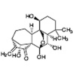 Oridonine >98.0%(HPLC) 50mg