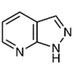 Pyrazolo[3,4-b]pyridine >98.0%(HPLC)(T) 1g