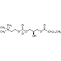 1-Palmitoyl-sn-glycero-3-phosphocholine >98.0%(HPLC)(T) 250mg