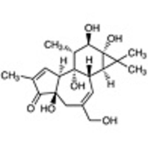 Phorbol >98.0%(HPLC) 5mg