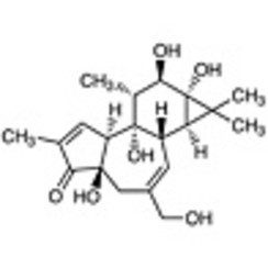Phorbol >98.0%(HPLC) 25mg