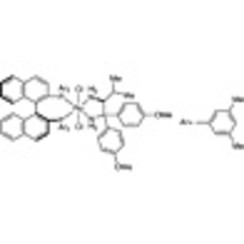 RuCl2[(S)-xylbinap][(S)-daipen] 200mg