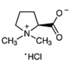 Stachydrine Hydrochloride 10mg