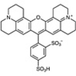 Sulforhodamine 101 >95.0%(HPLC)(N) 200mg