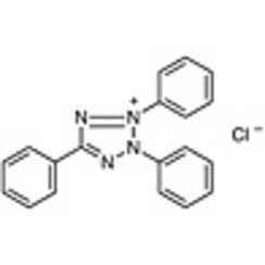 2,3,5-Triphenyltetrazolium Chloride >98.0%(T) 25g