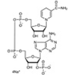 beta-Nicotinamide Adenine Dinucleotide Phosphate Tetrasodium Salt reduced form [for Biochemical Research] >90.0%(HPLC) 100mg
