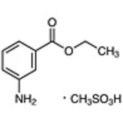 Tricaine >97.0%(HPLC)(N) 25g