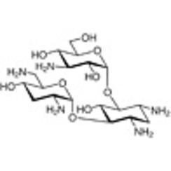 Tobramycin >94.0%(T) 5g