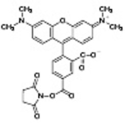 5-TAMRA SE >90.0%(HPLC) 5mg