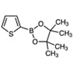 2-(4,4,5,5-Tetramethyl-1,3,2-dioxaborolan-2-yl)thiophene >98.0%(GC)(T) 1g