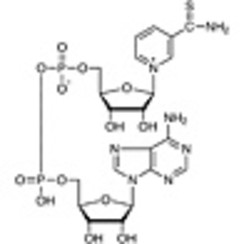 Thionicotinamide Adenine Dinucleotide oxidized form [for Biochemical Research] >90.0%(HPLC) 100mg