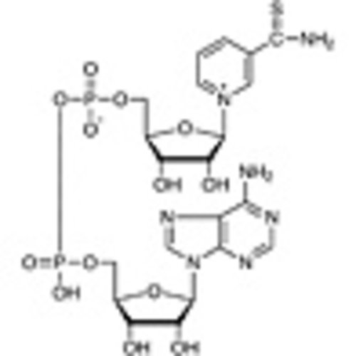 Thionicotinamide Adenine Dinucleotide oxidized form [for Biochemical Research] >90.0%(HPLC) 100mg
