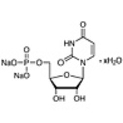 Uridine 5'-Monophosphate Disodium Salt Hydrate >98.0%(HPLC) 5g