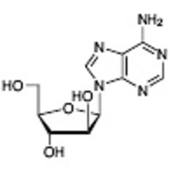 Vidarabine >98.0%(HPLC)(T) 25g