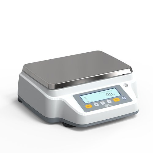 High Capacity Precision Scale RBG6202