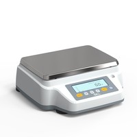 High Capacity Precision Scale RBG8202