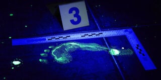 Unleashing the Glow: Exploring Luminol Experiments