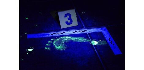 Unleashing the Glow: Exploring Luminol Experiments