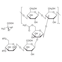 Xanthan, reinst