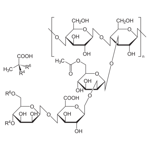 Xanthan, reinst