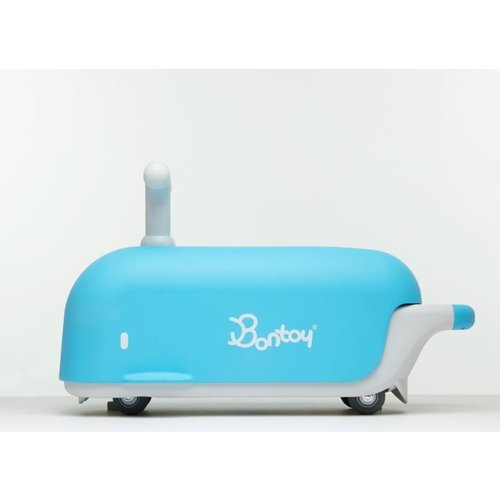 Bontoy Bontoy Blue Whale Moby Bontoy Bontoy Blue Whale Moby