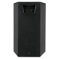 XI-10 10 inch installatie luidspreker