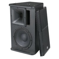 XI-10 10 inch installatie luidspreker