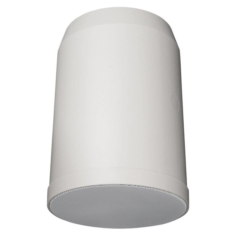 HS-620P Hangende 100V ABS luidspreker 20W 6 inch