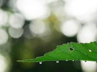 Stress verminderen – 4 natuurlijke manieren