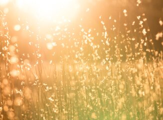 Why everyone needs extra vitamin D