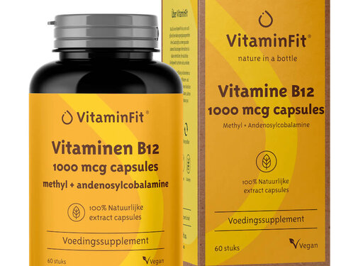 Vitamin B12 1000 mcg Kapseln