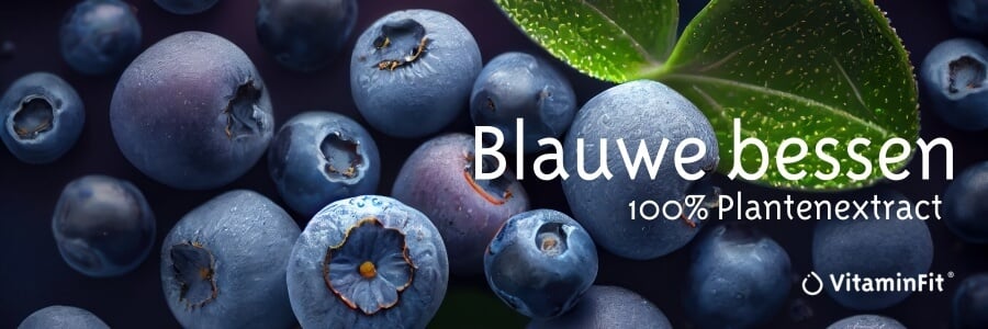 vitaminfit blauwe bessen