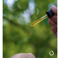pipette 50 ML
