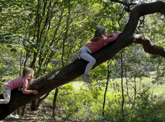 Starting autumn healthily with the kids