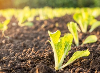 3 conseils pour la prise de suppléments de calcium