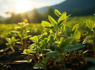 Foods high in vitamin D