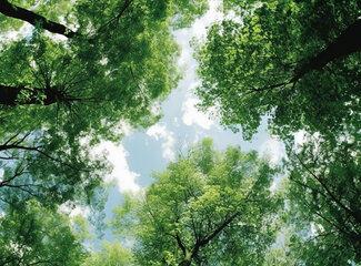 This is what relaxation does to your body