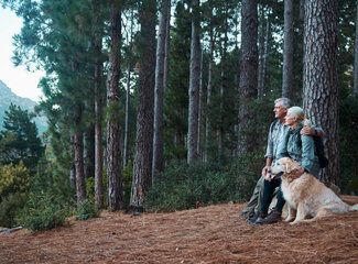 Vitamin K and its crucial role in blood clotting