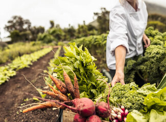 Een vegetarisch of veganistisch dieet: hoe voorkom ik tekorten?